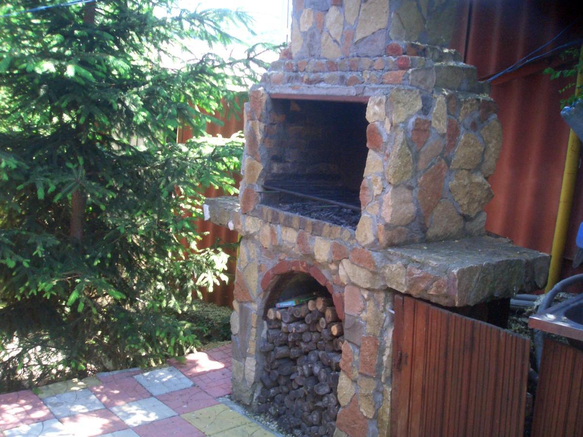 Appartement Casa Vladut à Babadag Extérieur photo