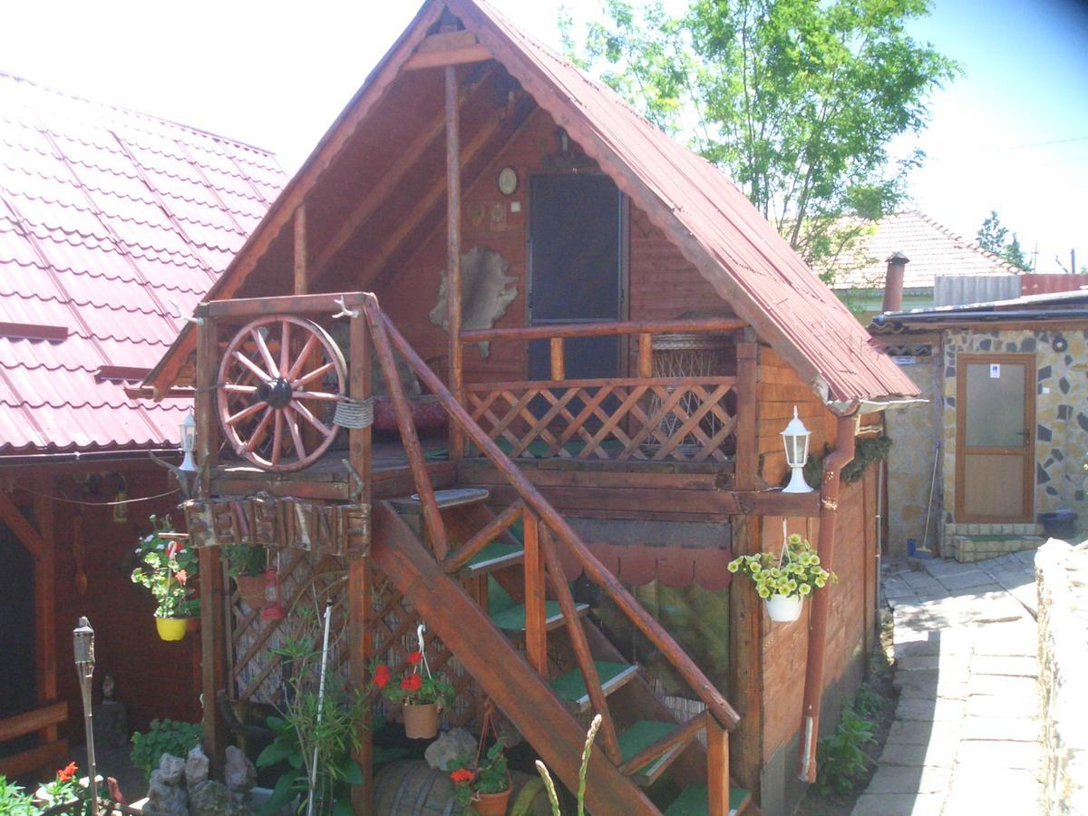 Appartement Casa Vladut à Babadag Extérieur photo