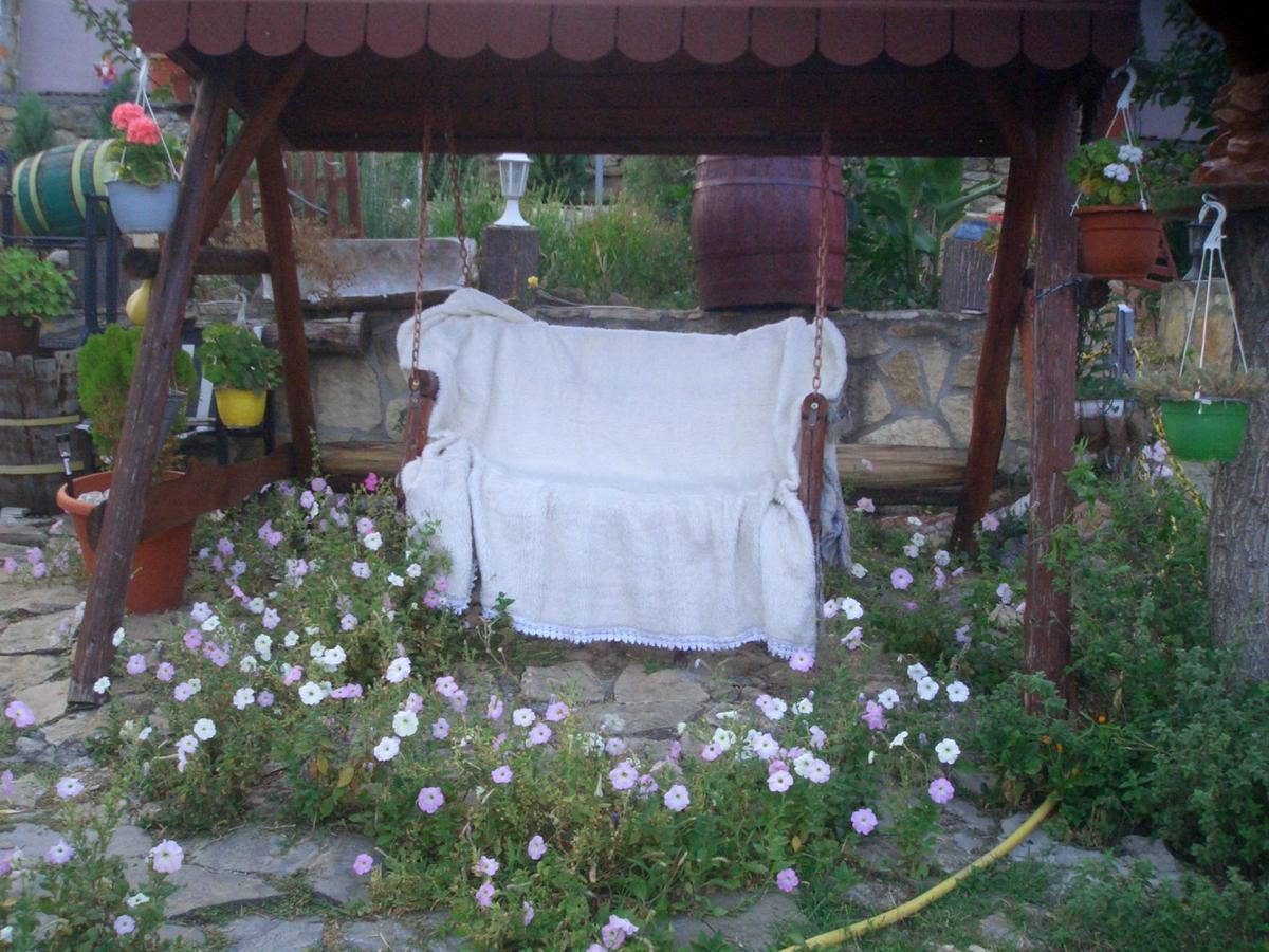 Appartement Casa Vladut à Babadag Extérieur photo