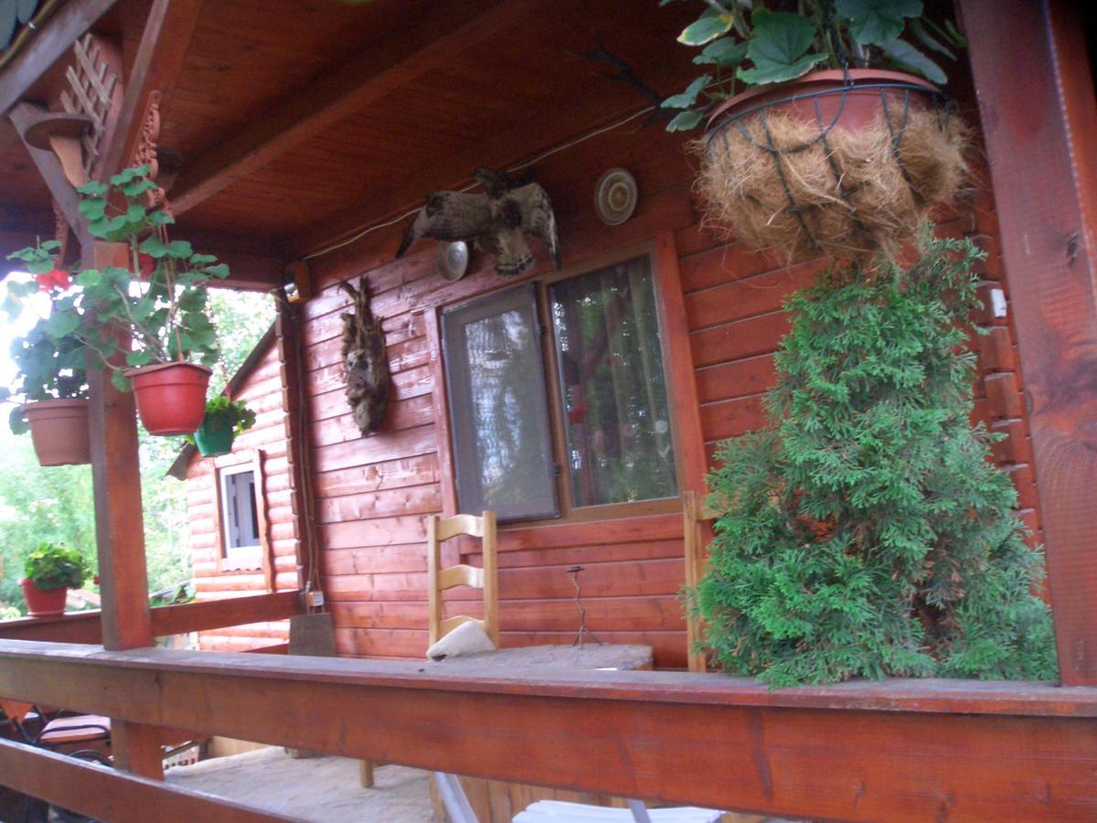Appartement Casa Vladut à Babadag Extérieur photo